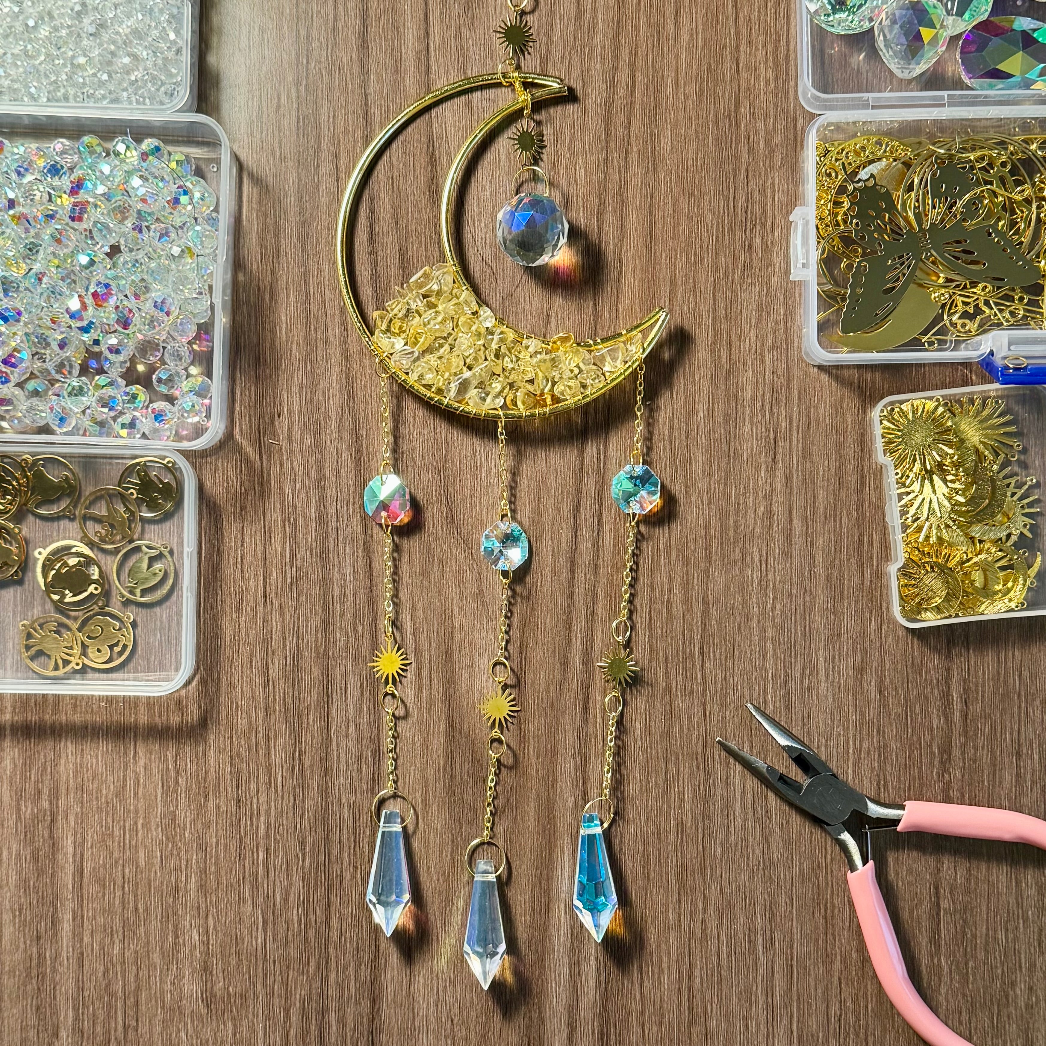 Moon Catchers