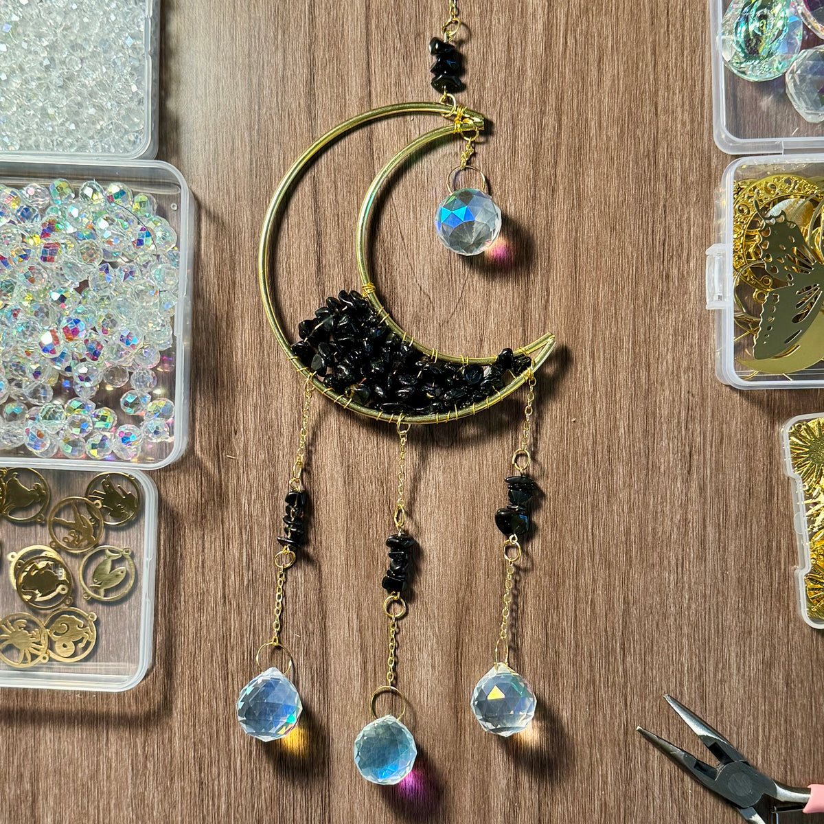 Moon Catchers
