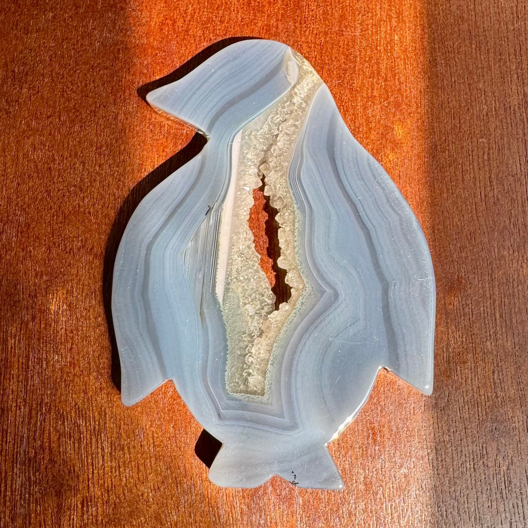 Penguin Rift - 5” Blue Chalcedony; carved with Druzy in center