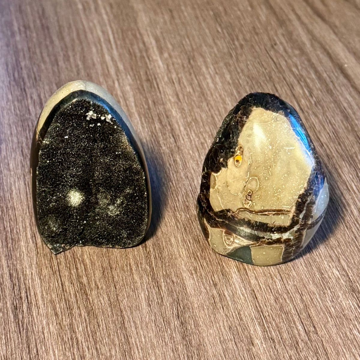 Moonrot & Mosshollow - Septarian