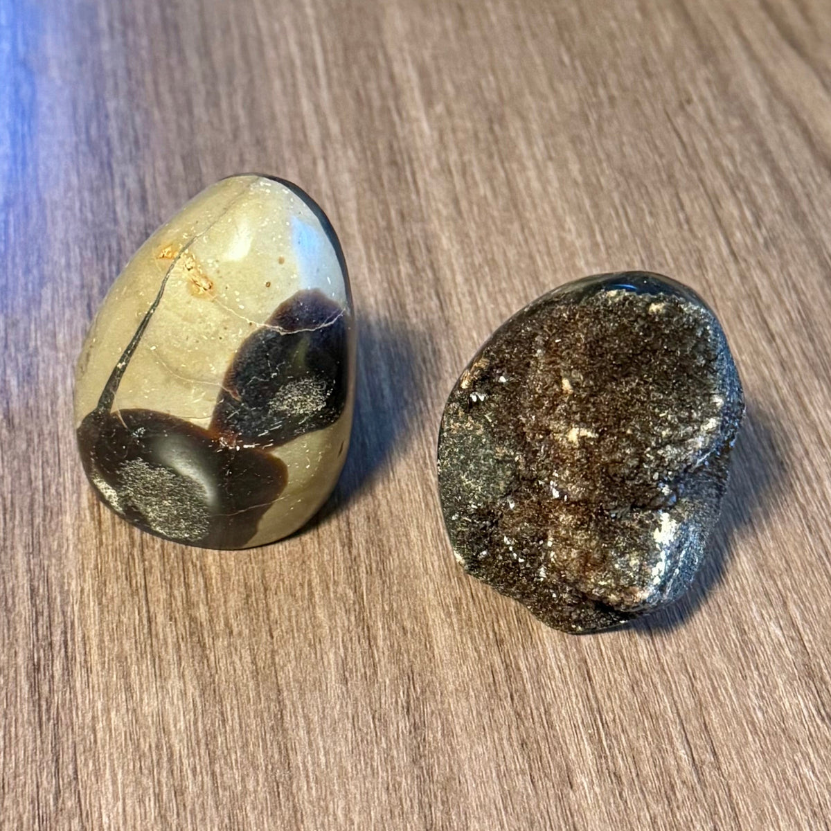 Moonrot & Mosshollow - Septarian